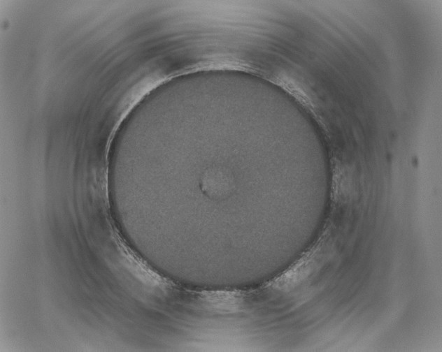 X0000062170836200512091428