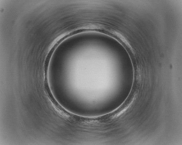 X0000062170837200512091428