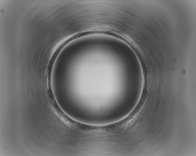 X0000062170838200512091428