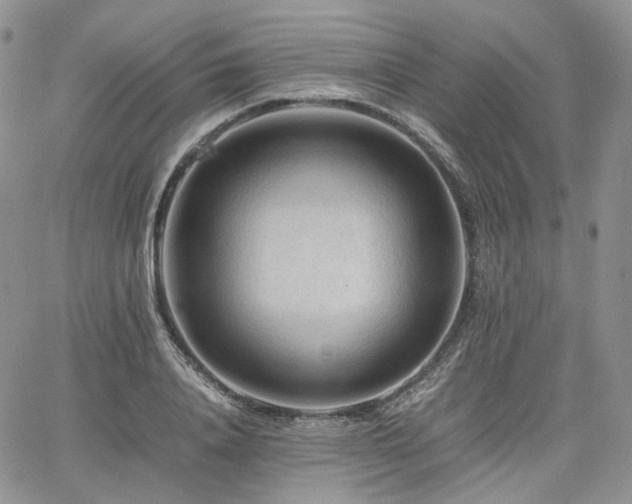 X0000062170840200512091428