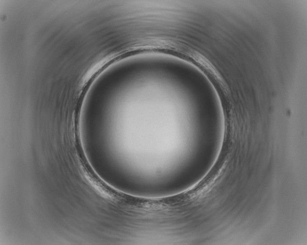 X0000062170842200512091428