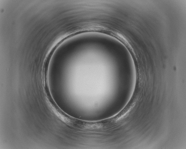 X0000062170843200512091428