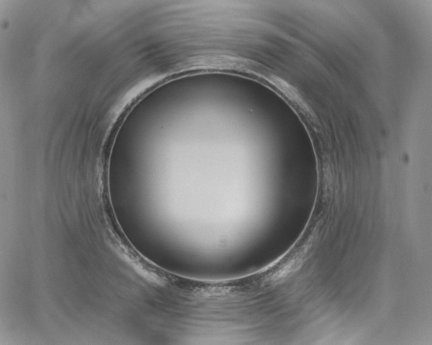 X0000062170846200512091428