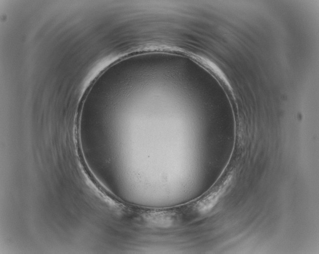 X0000062170847200512091428