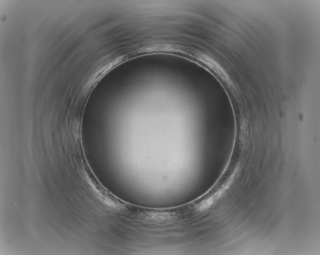 X0000062170849200512091428