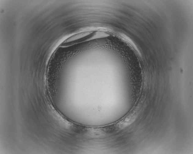 X0000062170852200512091428