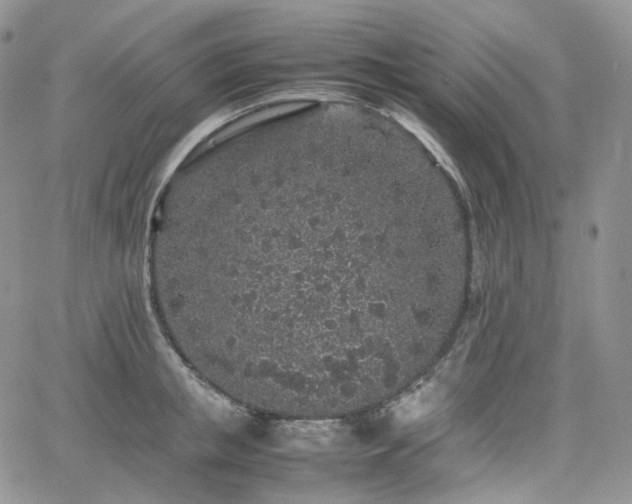 X0000062170853200512091428