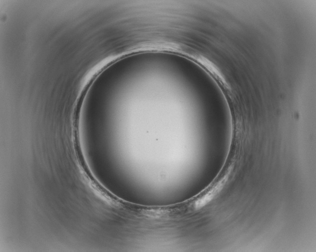 X0000062170854200512091428