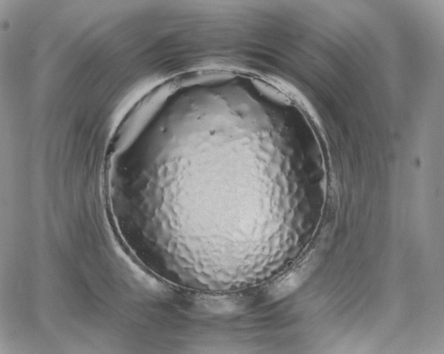 X0000062170855200512091428