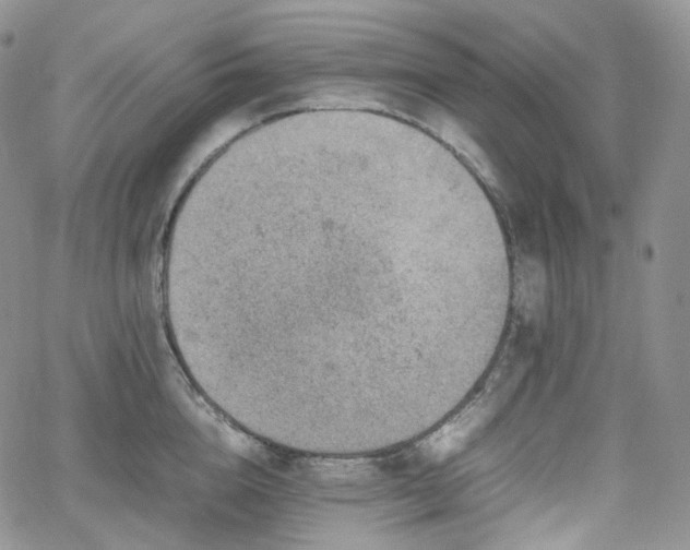 X0000062170856200512091428