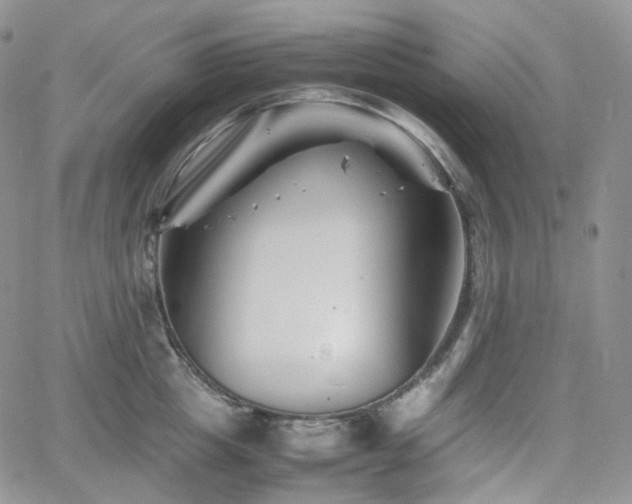 X0000062170857200512091428