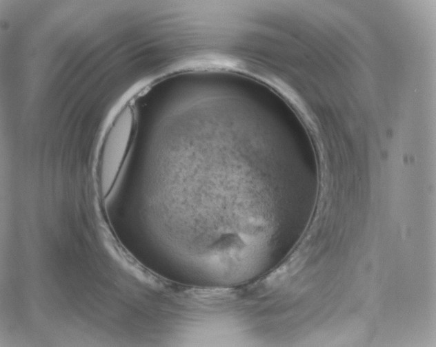 X0000062170864200512091428