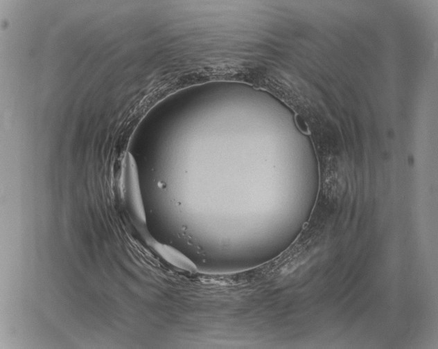 X0000062170866200512091428