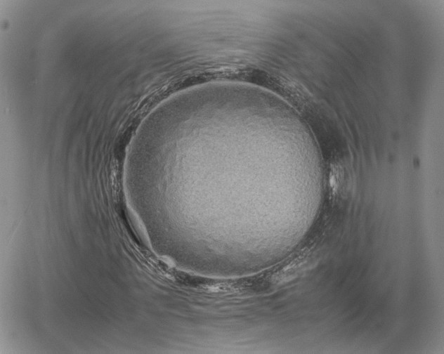 X0000062170867200512091427