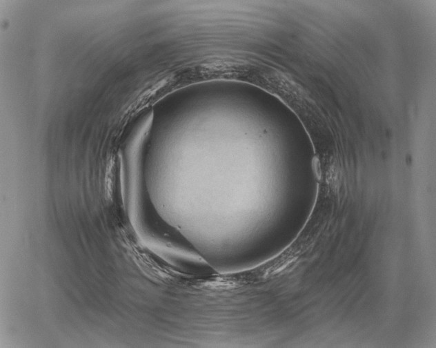 X0000062170868200512091427