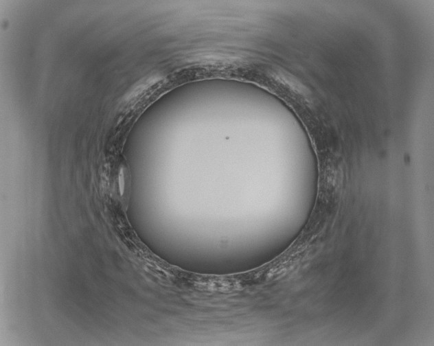 X0000062170869200512091427