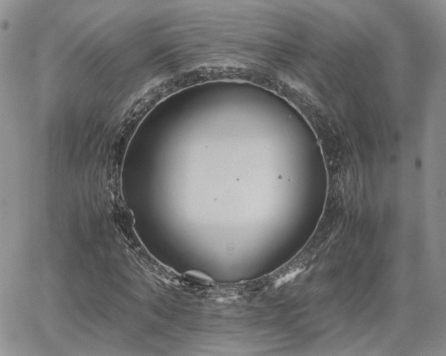 X0000062170870200512091427