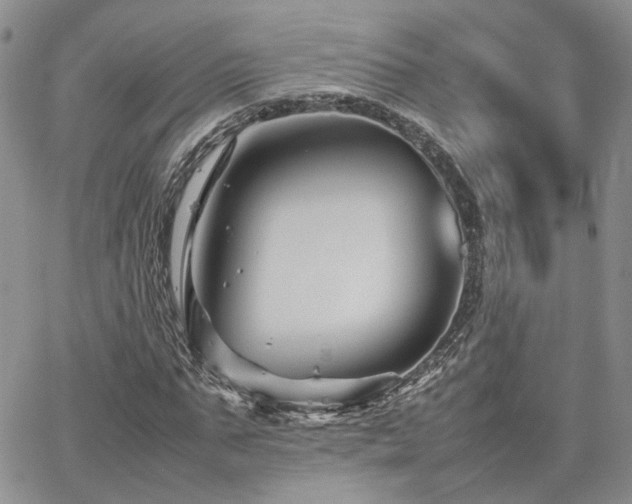 X0000062170871200512091427