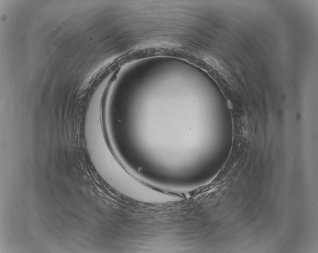 X0000062170872200512091427