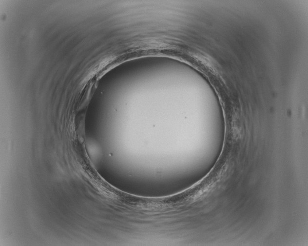 X0000062170873200512091427