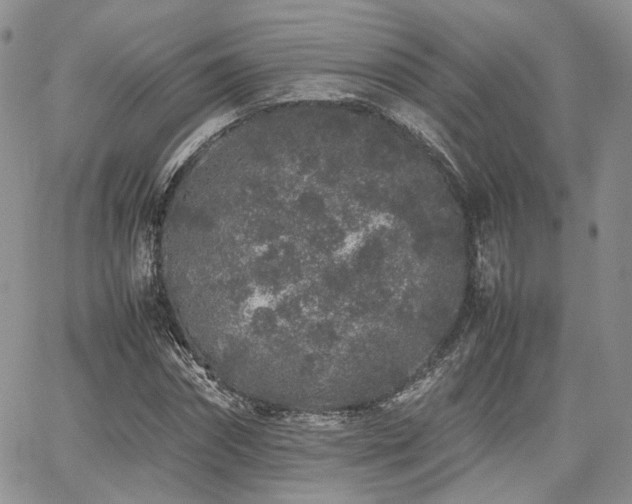 X0000062170874200512091427