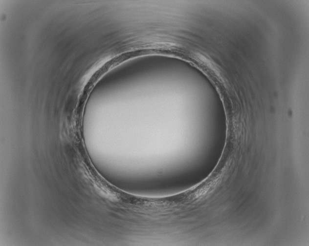 X0000062170875200512091427