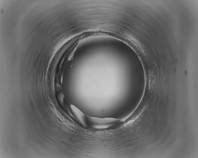 X0000062170876200512091427