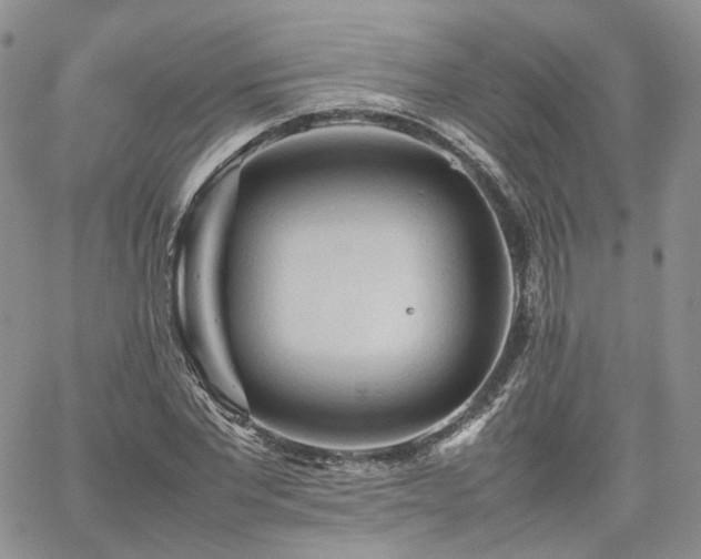 X0000062170877200512091427