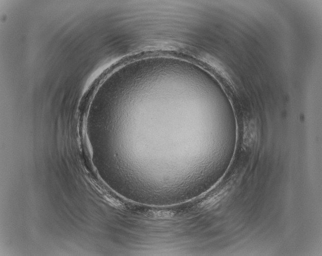 X0000062170878200512091427