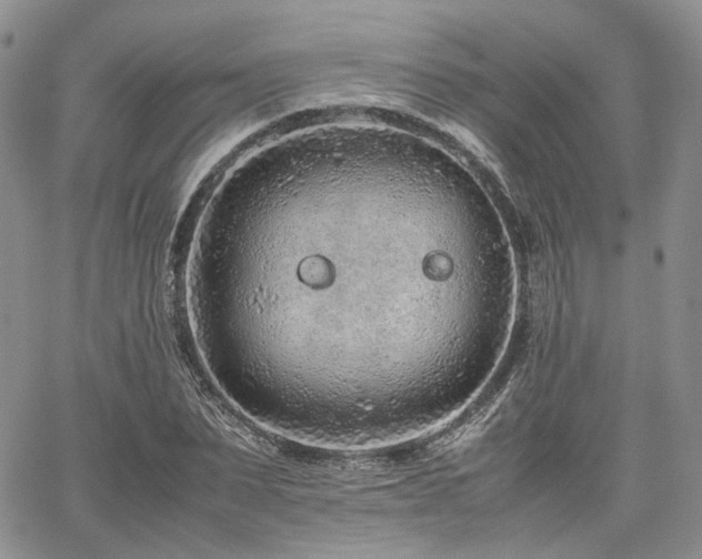 X0000062170879200512091427