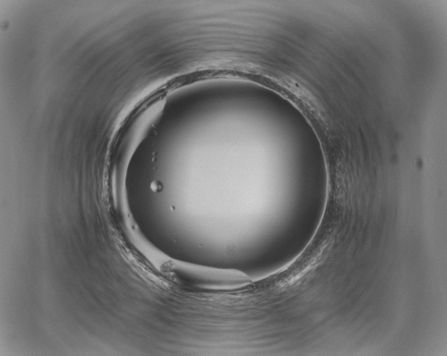 X0000062170880200512091427