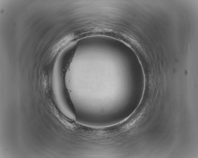 X0000062170881200512091427