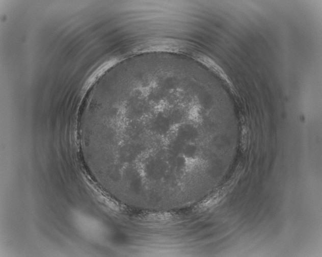 X0000062170882200512091427