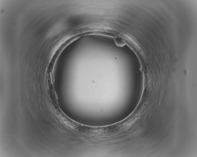 X0000062170883200512091427