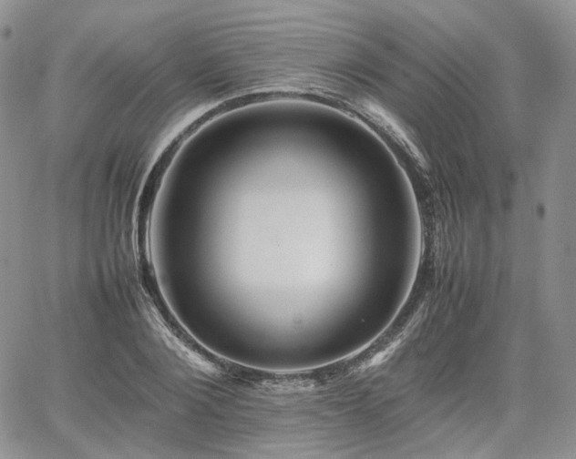 X0000062170884200512091427