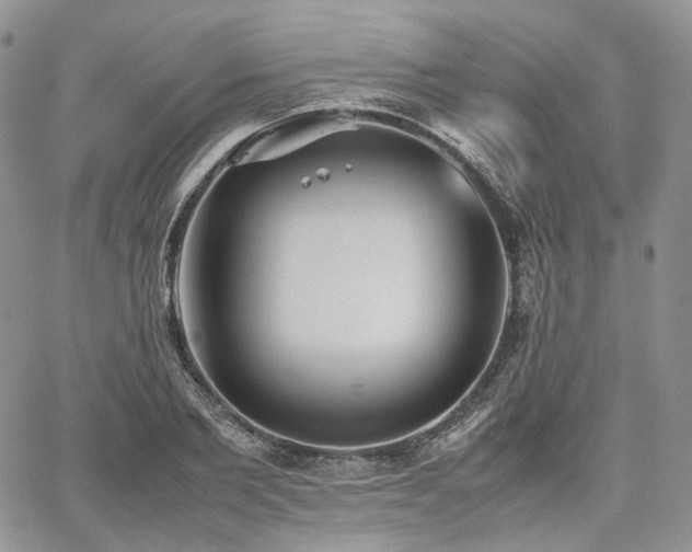 X0000062170885200512091427