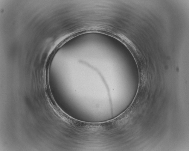 X0000062170886200512091427