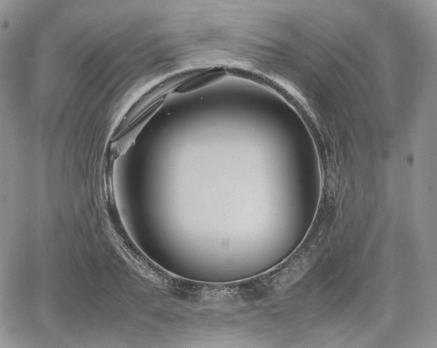 X0000062170887200512091427