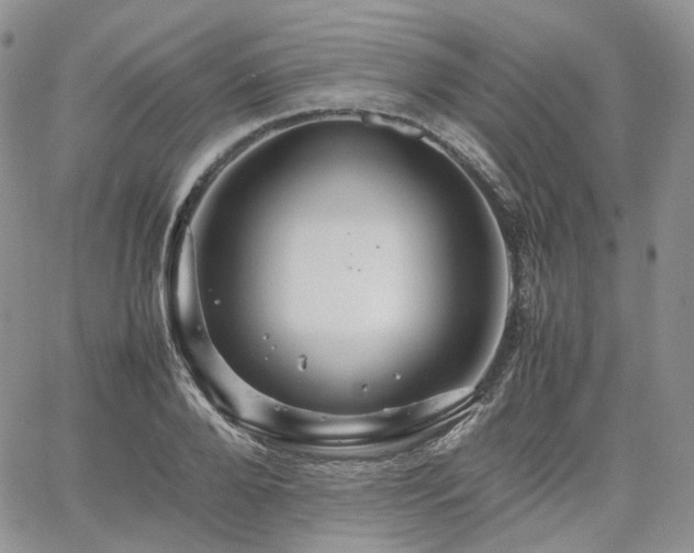 X0000062170888200512091427