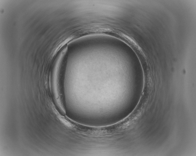 X0000062170889200512091427