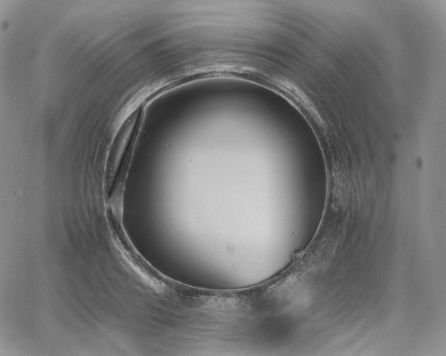 X0000062170890200512091427