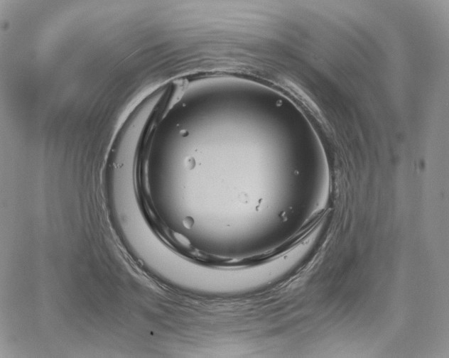 X0000062170891200512091427