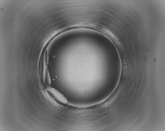 X0000062170892200512091427