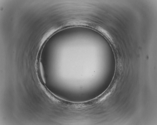 X0000062170893200512091427