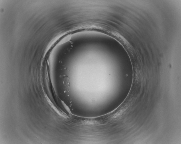 X0000062170894200512091427