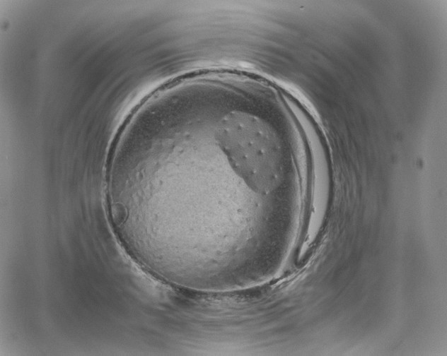 X0000062170895200512091427