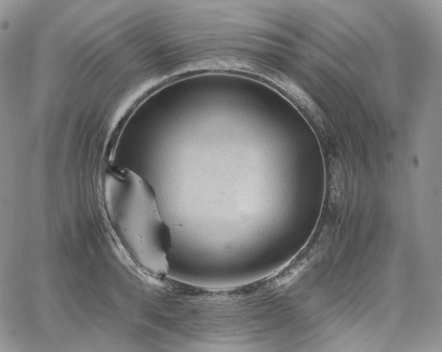 X0000062170896200512091427