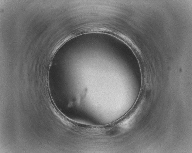 X0000062170897200512091427