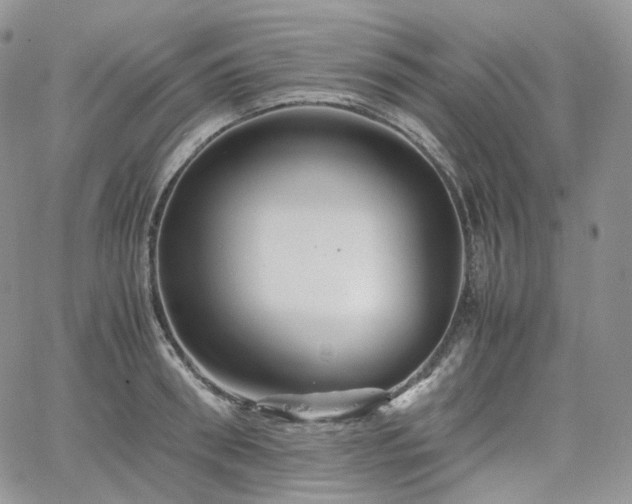 X0000062170898200512091427