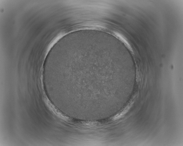 X0000062170899200512091427